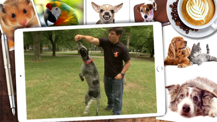 Miláčikovo - Naučte svojho psíka tancovať